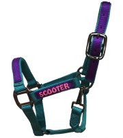  The Ultimate Custom Miniature Horse Nylon Halter