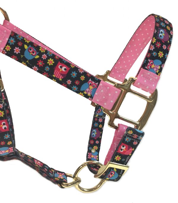 Owls Horse Halter