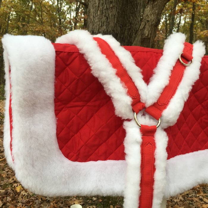 Fur Trimmed Santa Christmas Saddle Pad & Breast-collar Set 