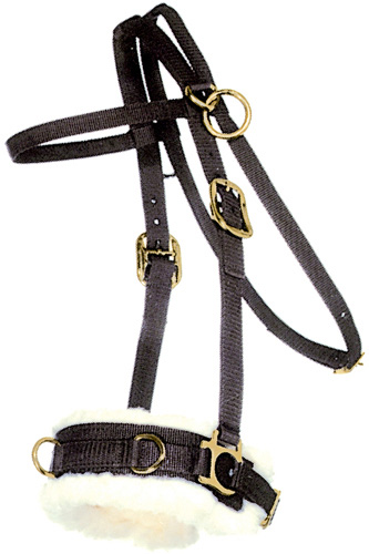 Nylon Lunge Lunging Cavesson *Fur* Padded Headcollar in 5 Colours Full Cob 