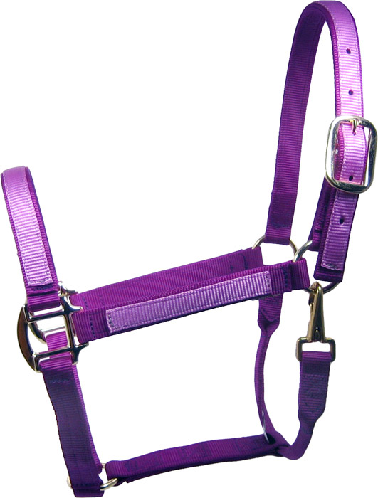 Purple Polka Dot w/Purple Backing Fashion Horse Halter 