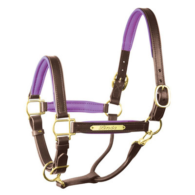 Luxury Padded Leather Halter 