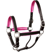 Leather Halters & Leads