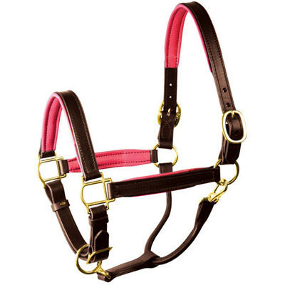 Luxury Padded Leather Halter 