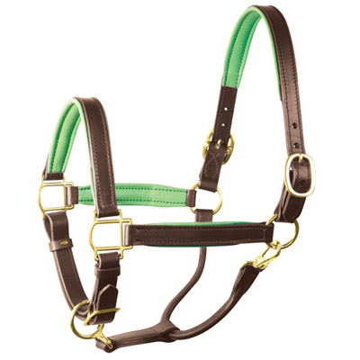 Luxury Padded Leather Halter 