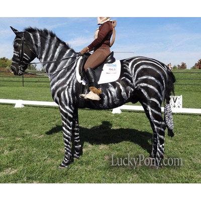 Pony Paints Horse Body Paint