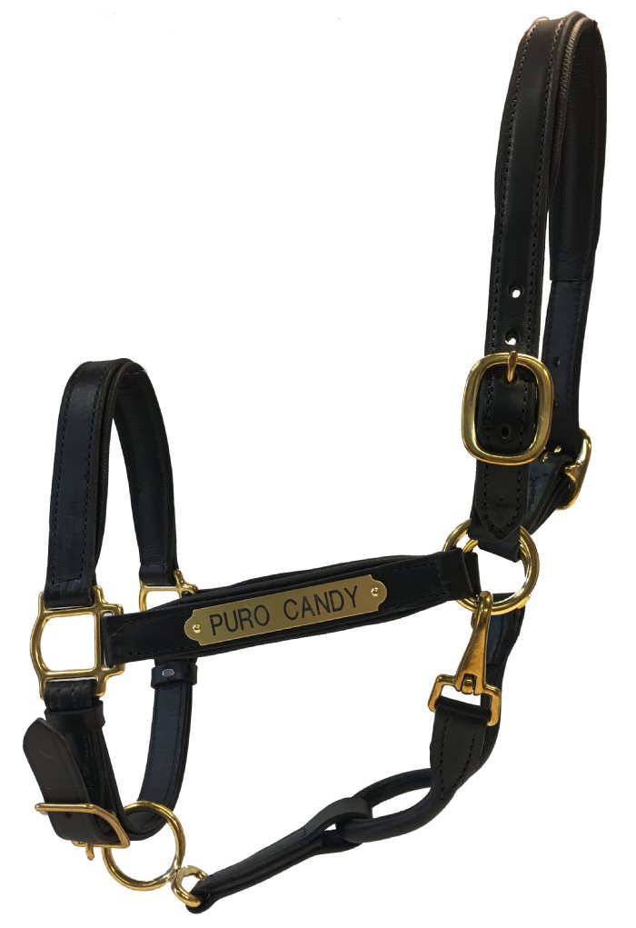 Luxury Padded Leather Horse Halter - Custom Engraved- USA made