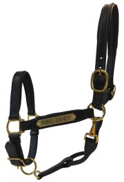 Luxury Padded Leather Horse Halter - Custom Engraved- USA made