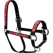 Dragon Horse Halter