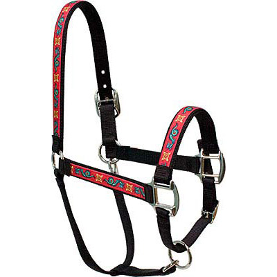 Dragon Horse Halter