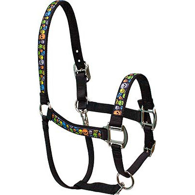 Neon Skulls PONY Halter