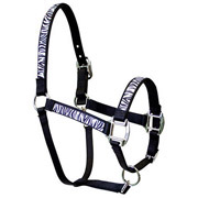 Zebra Stripe Horse Halter- Large - Clearance