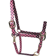 Red Haute Horse Halters