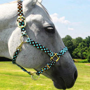 Brown and Blue Polka Dot Horse Halter