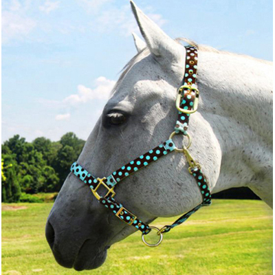 Brown and Blue Polka Dot Horse Halter