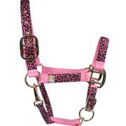 Pink Leopard Horse Halter