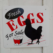 Eggs for Sale -  All Weather  Sign