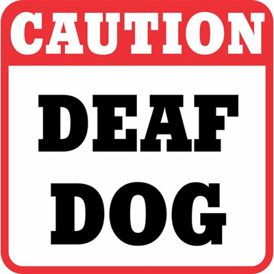 Caution – Deaf Dog - Large All Weather Sign