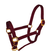 USA Made Mini Horse Halter - 18 color options