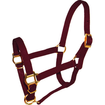 USA Made Mini Horse Halter - 18 color options