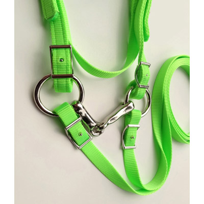 Miniature Horse Size Bridle with Bit & Reins Set