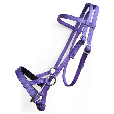 Custom Color Nylon Side Pull with Soft Noseband