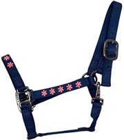 Halters & Leads