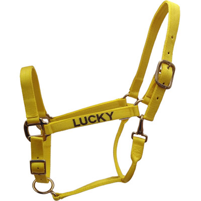 Yellow Horse Halter - USA Made