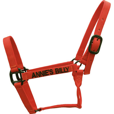 Blaze Orange Horse Halter - USA Made