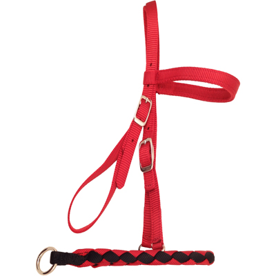 Miniature Horse Size Braided Nylon Bosal - USA Made