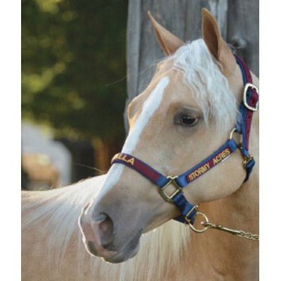  The Ultimate Custom Nylon Horse Halter- USA made- embroidered