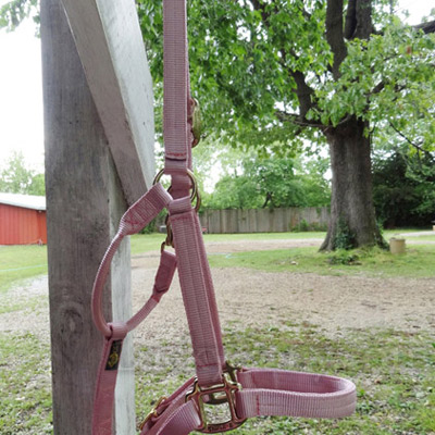 Soft Pink Horse Halter - USA Made