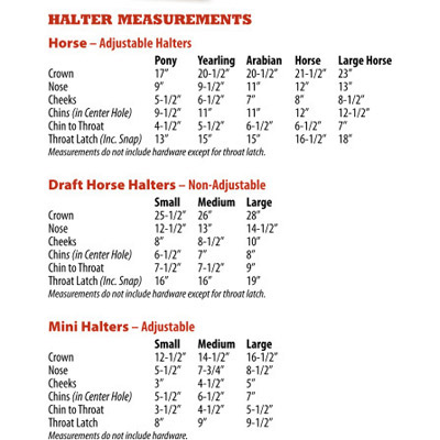 Poll-Pressure Training Halter