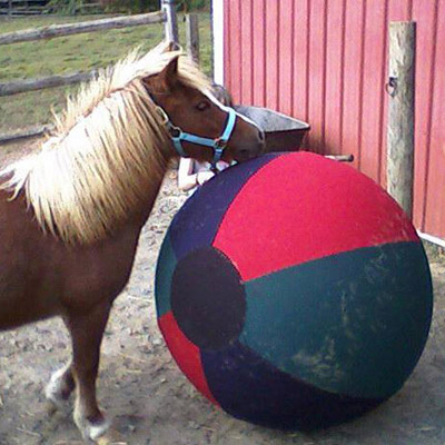 Extra Durable Equine Ball with Cover