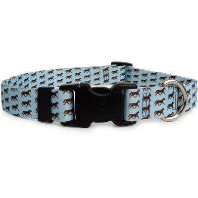 Little Horses Dog Collar - Pink or Blue