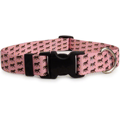 Little Horses Dog Collar - Pink or Blue